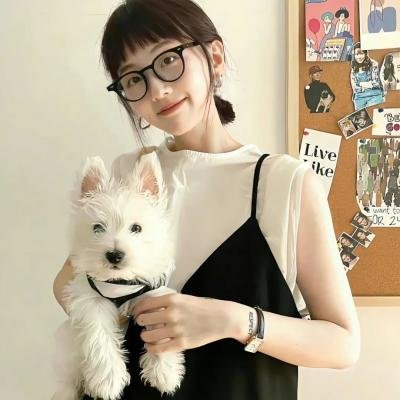 快乐趣吹风 海报